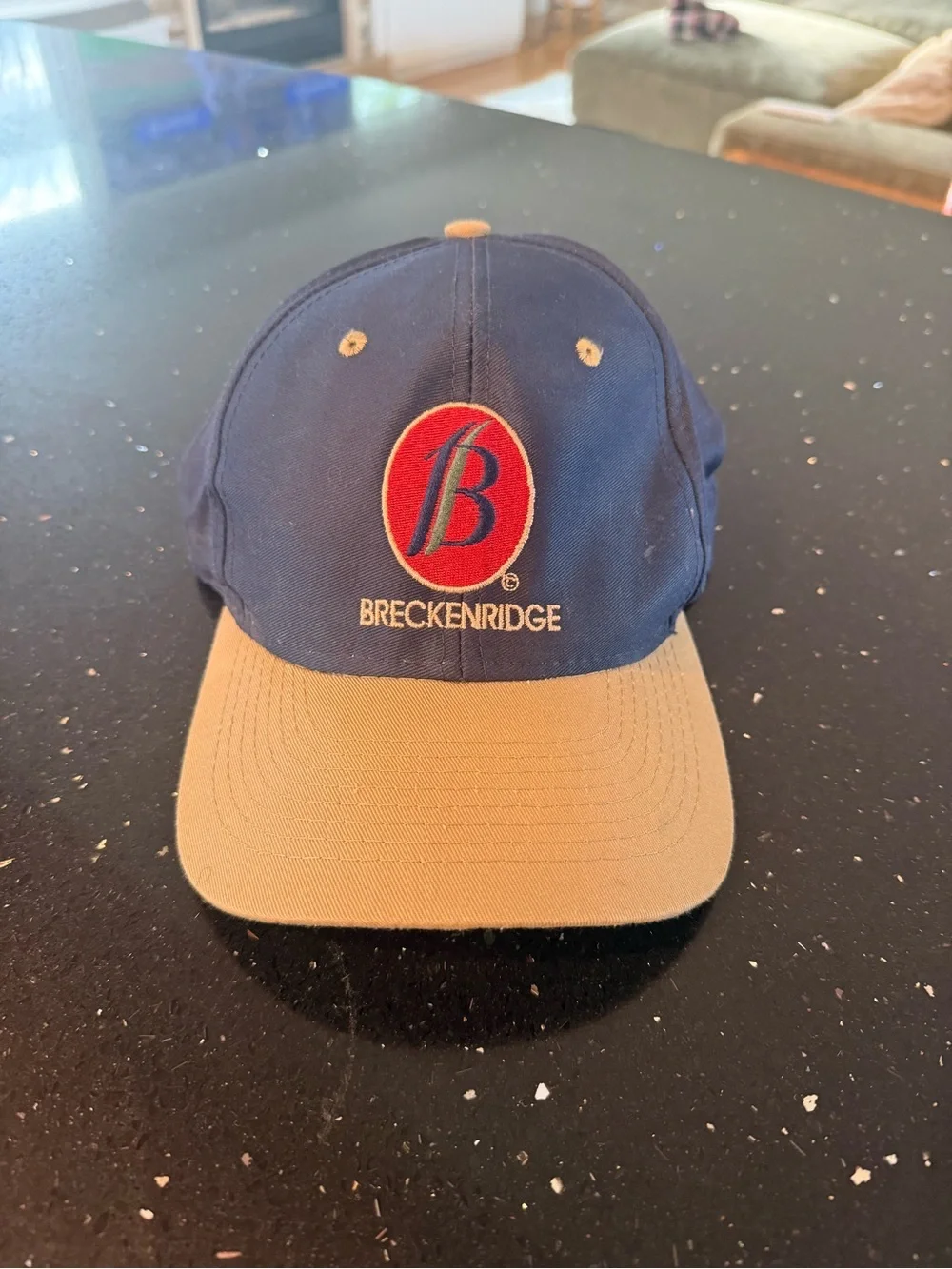 Breckenridge Two-Tone Logo Baseball Cap in Navy and Khaki